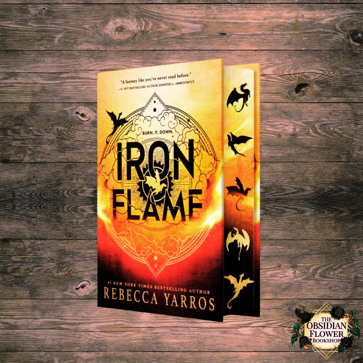 Iron Flame (Wing and Claw Collection) (Empyrean #2)