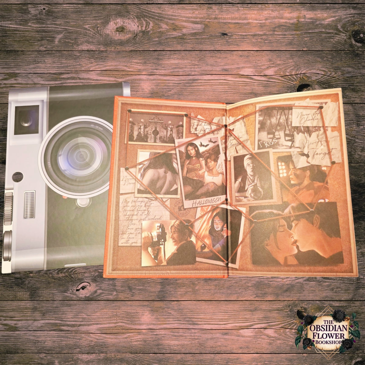 Never Never by Colleen Hoover (signed copy)