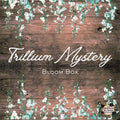 Trillium Mystery Bloom Box