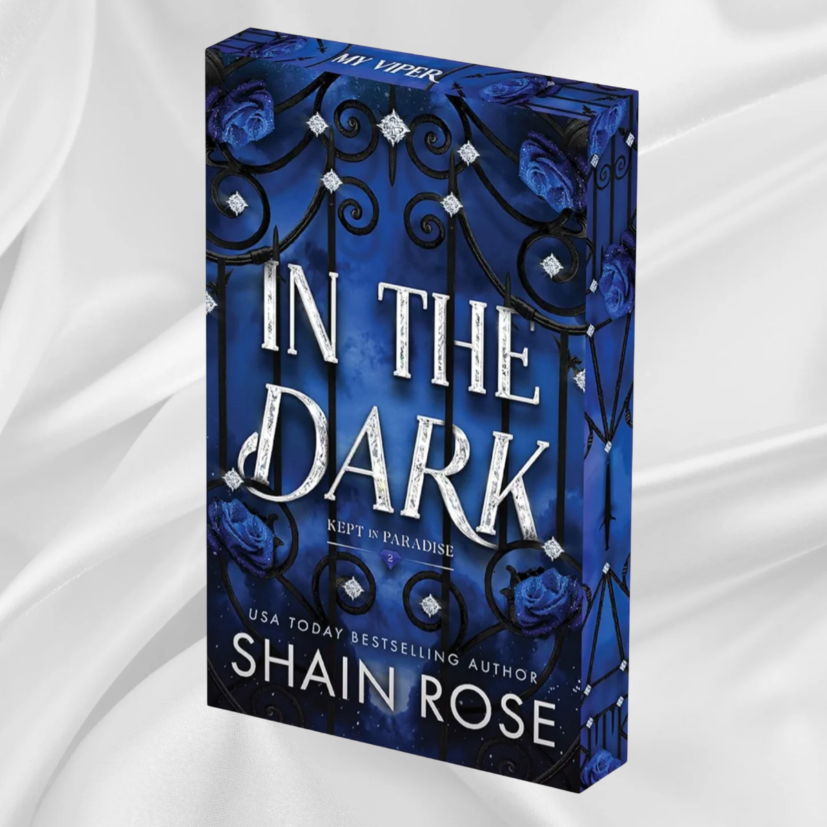 In the Dark by Shain Rose